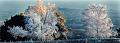Pano_givre-lanfain 02_01_09 n04bis